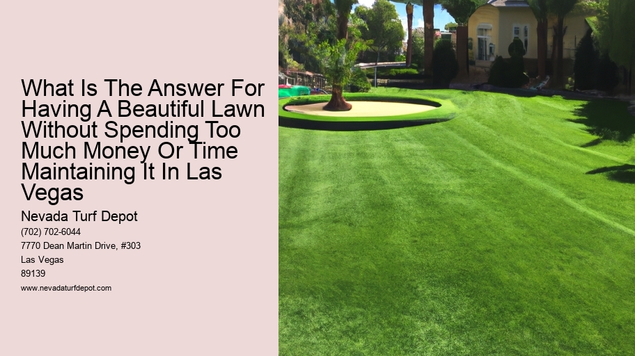 What Is The Answer For Having A Beautiful Lawn Without Spending Too Much Money Or Time Maintaining It In Las Vegas