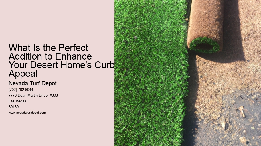 What Is the Perfect Addition to Enhance Your Desert Home's Curb Appeal